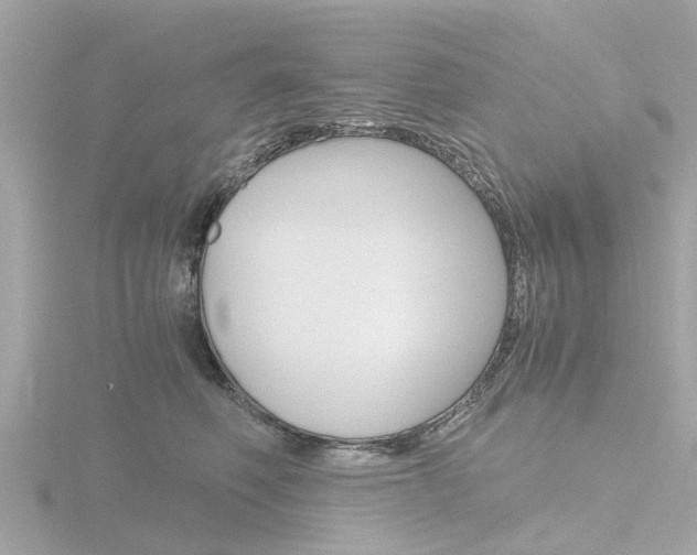 X0000116760614200912171111