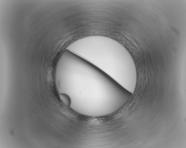 X0000116760616200912171111