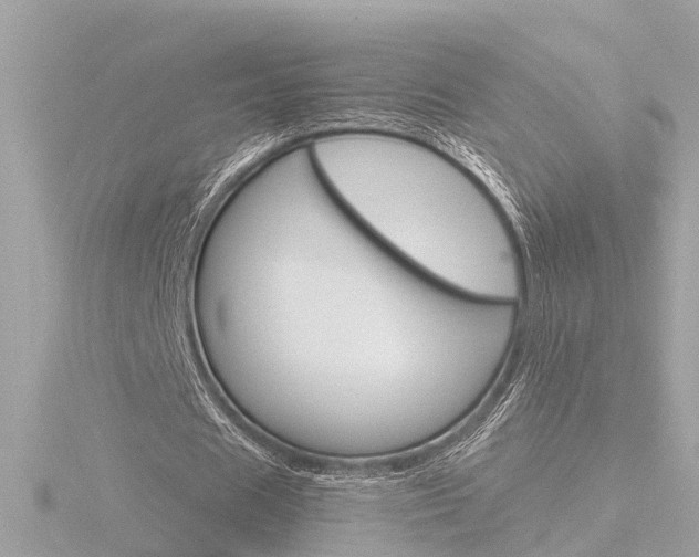 X0000116760625200912171111