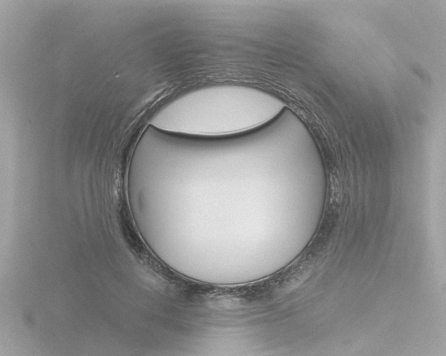 X0000116760648200912171111