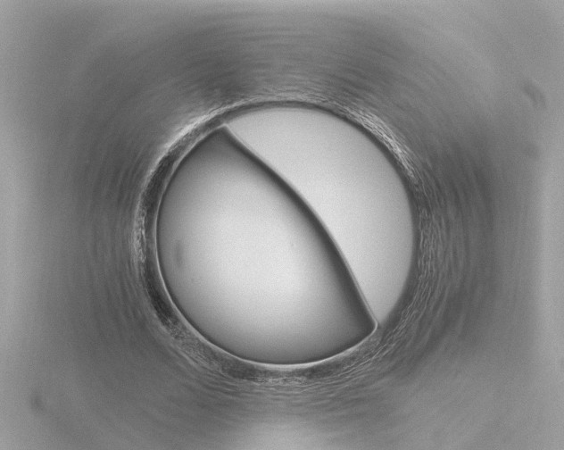 X0000116760680200912171110