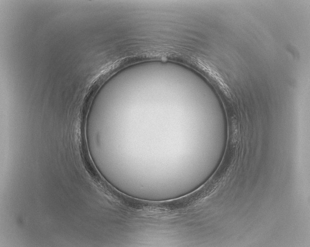 X0000116760681200912171110