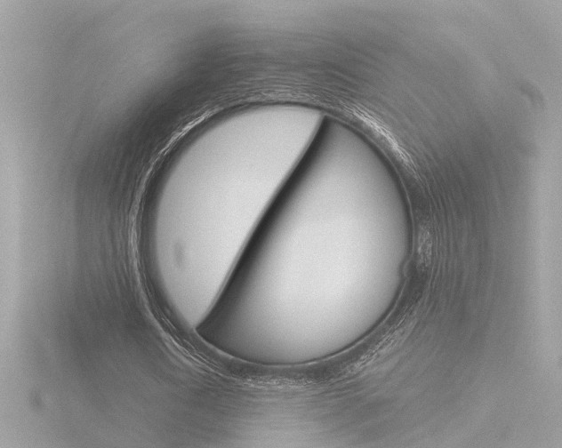 X0000116760722200912171109