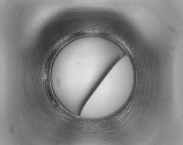 X0000116760723200912171109