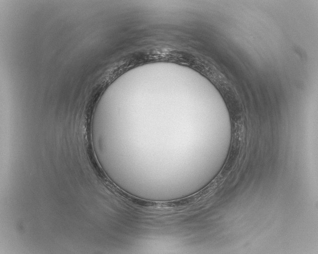 X0000116760754200912171110