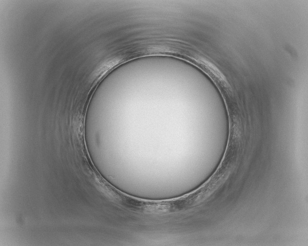 X0000116760793200912171109