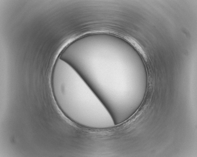 X0000116760805200912171109