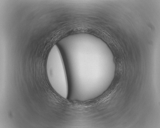 X0000116760818200912171108