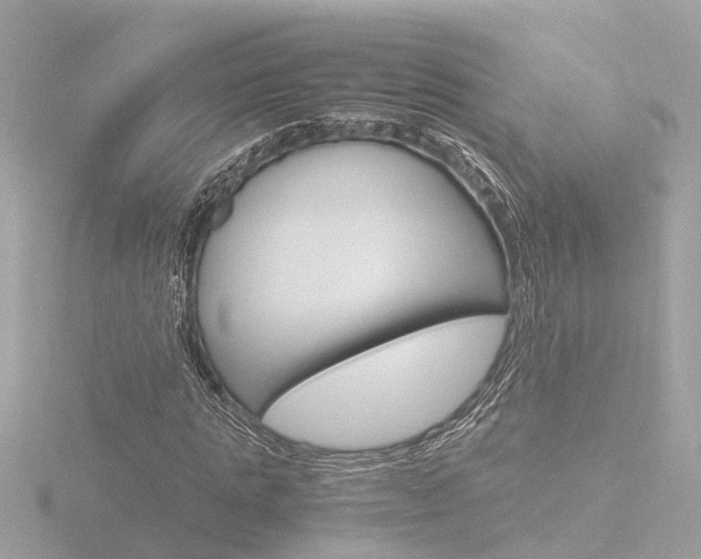 X0000116760821200912171108
