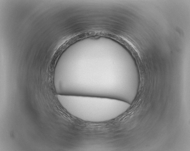 X0000116760823200912171108