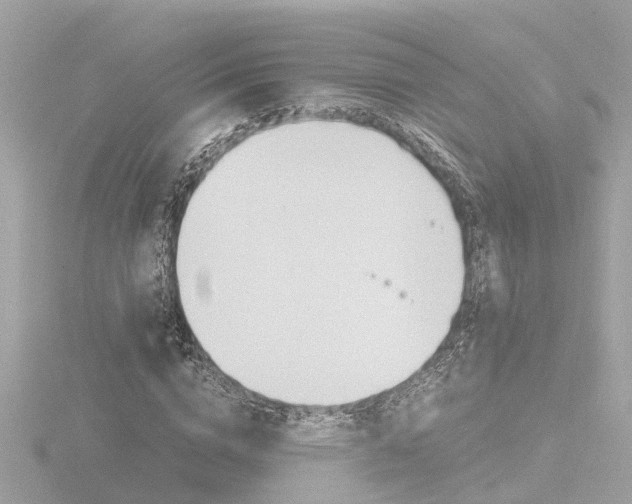 X0000116760824200912171108