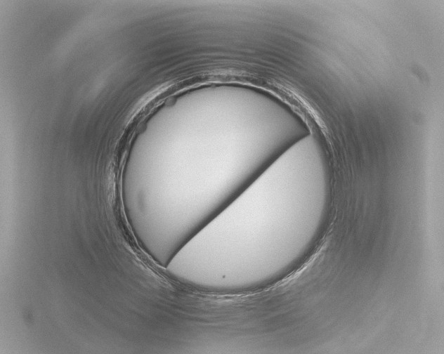 X0000116760829200912171108