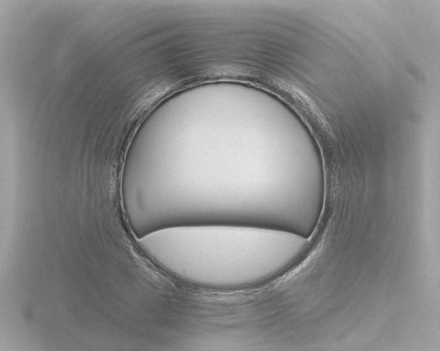 X0000116760833200912171108