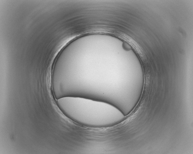 X0000116760844200912171108