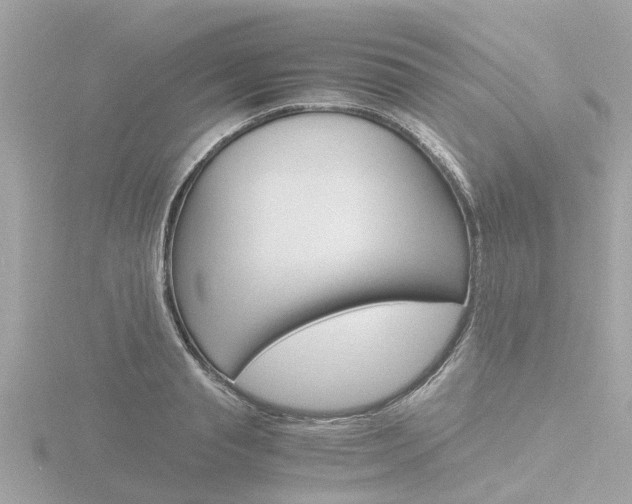 X0000116760845200912171108