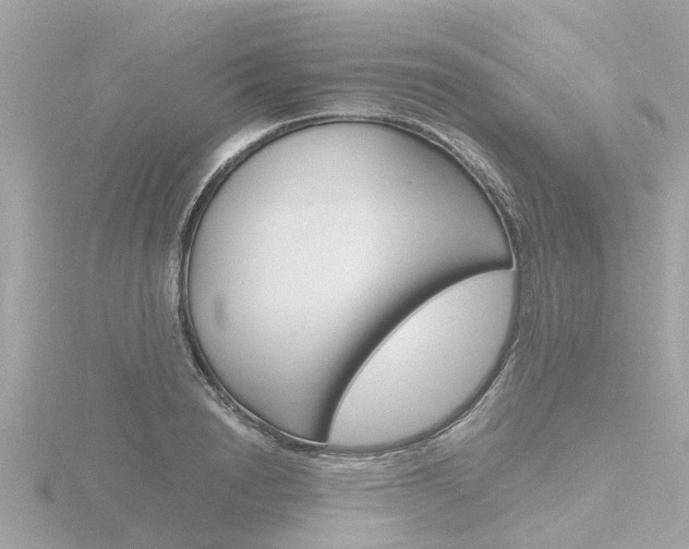 X0000116760846200912171108