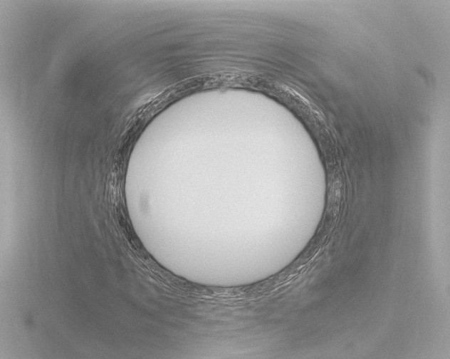 X0000116760869200912171107