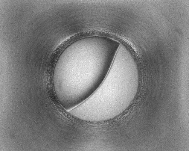 X0000116760872200912171107