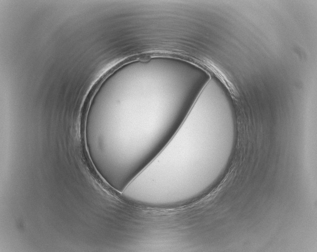 X0000116760884200912171107