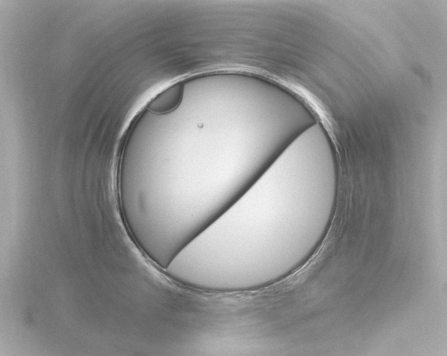 X0000116760910200912171107