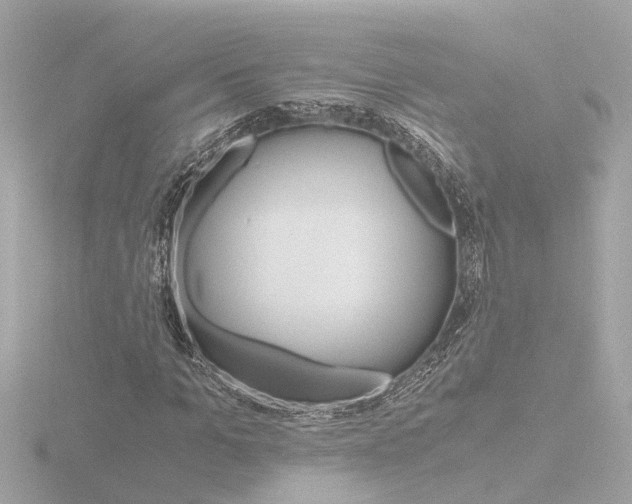 X0000116760965200912171106