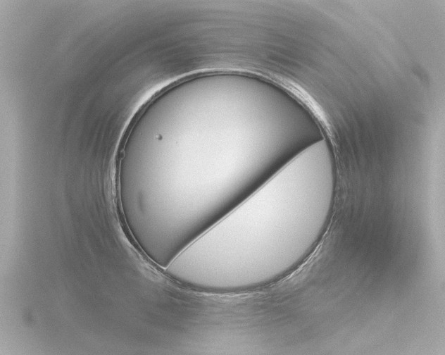 X0000116760996200912171106