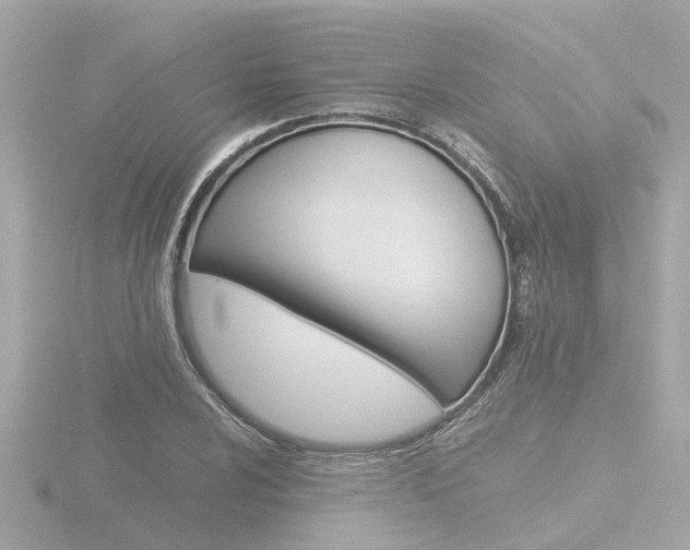 X0000116761024200912171105