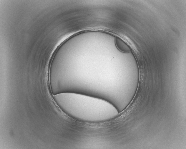 X0000116761044200912171106