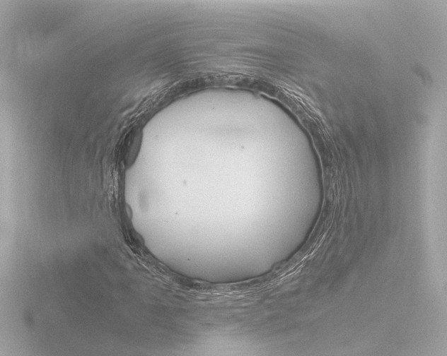 X0000116761061200912171105