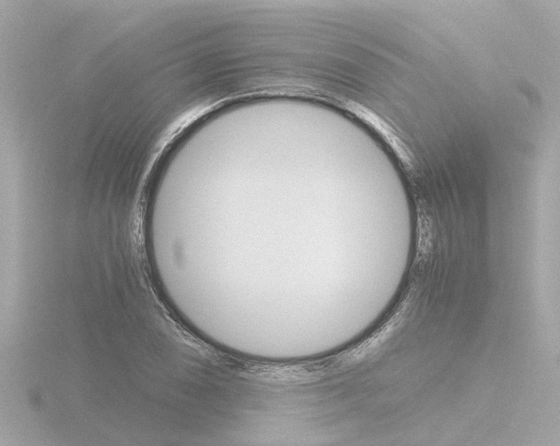 X0000116761074200912171105