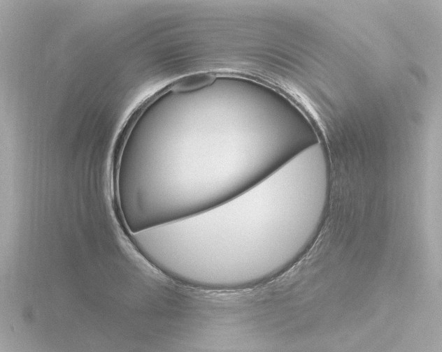 X0000116761080200912171105