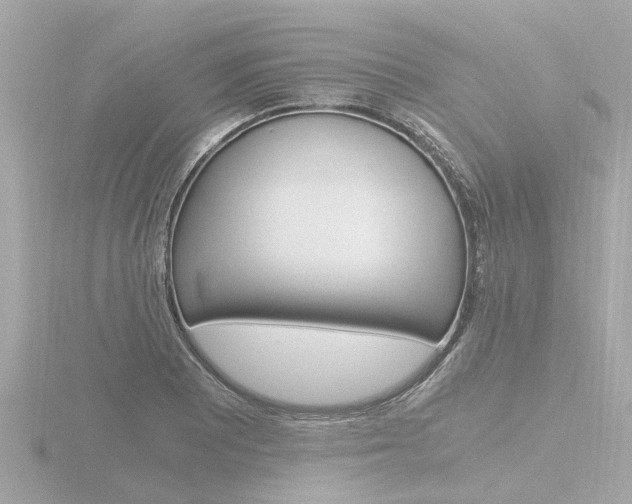 X0000116761081200912171105