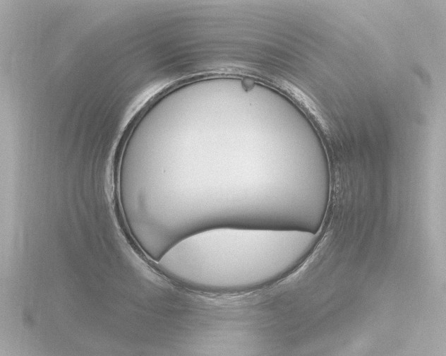 X0000116761082200912171105