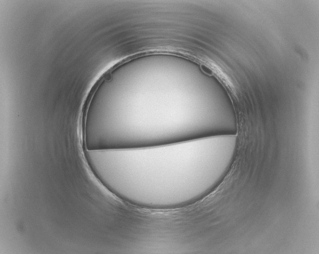 X0000116761084200912171105