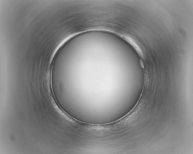 X0000116761100200912171105