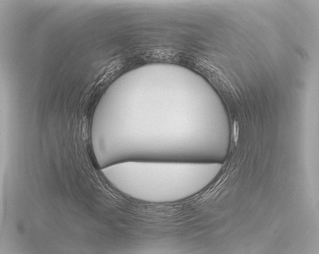 X0000116761107200912171104