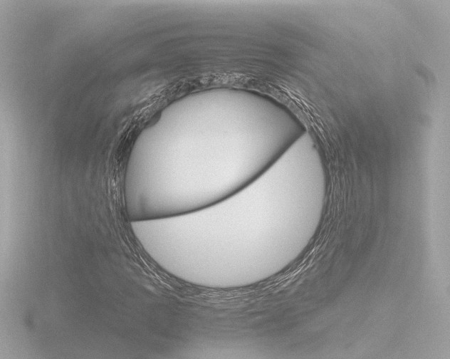 X0000116761109200912171104