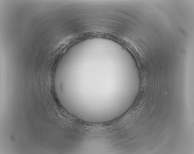 X0000116761110200912171104