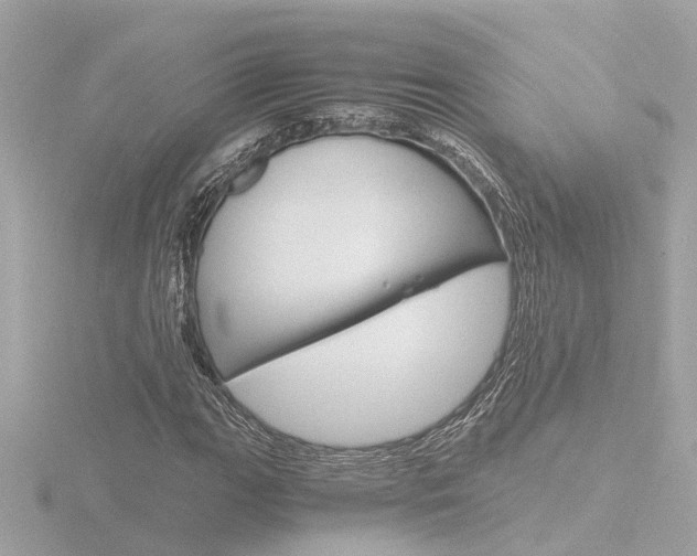 X0000116761111200912171104