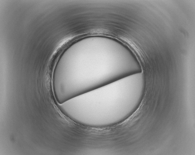 X0000116761115200912171104