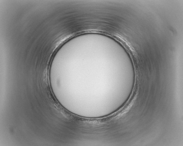 X0000116761121200912171104