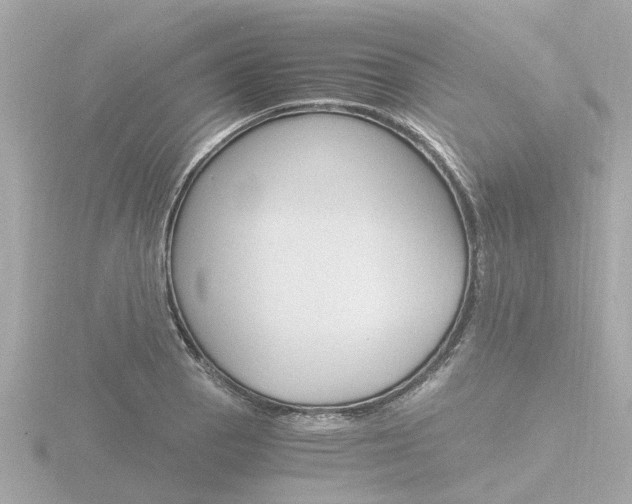 X0000116761129200912171104