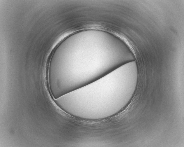 X0000116761147200912171104
