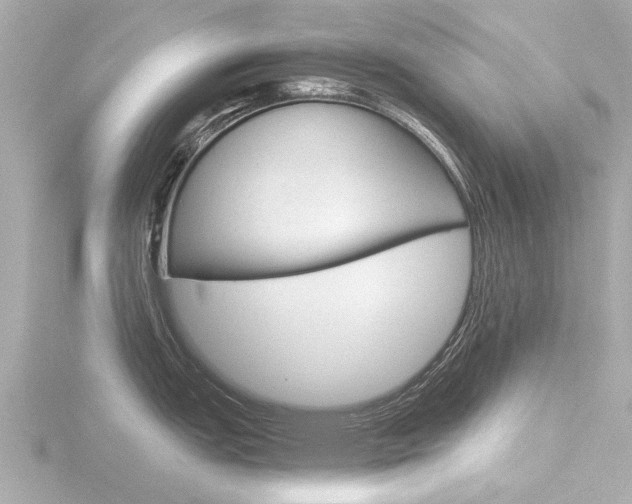 X0000116761151200912171104