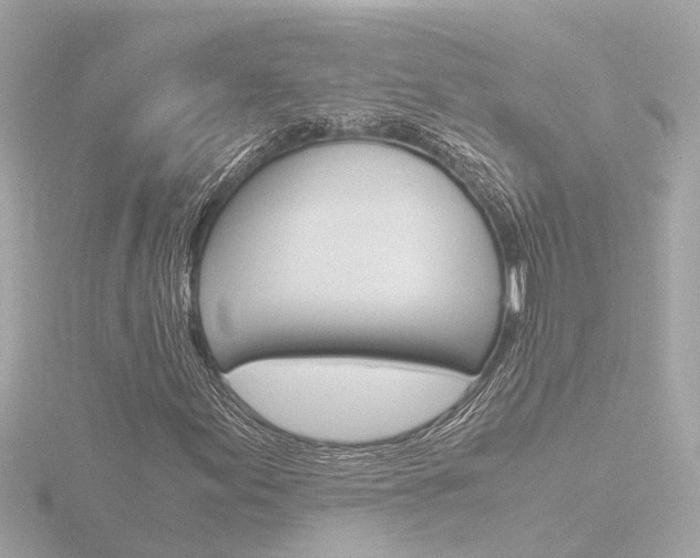 X0000116761155200912171104