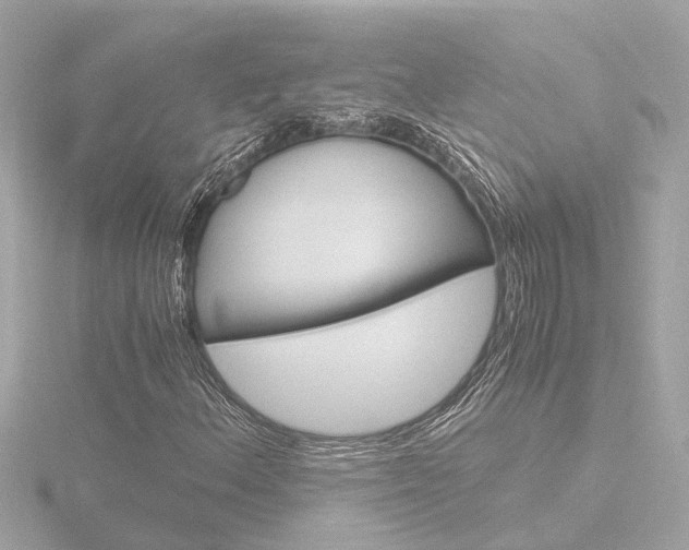 X0000116761156200912171104
