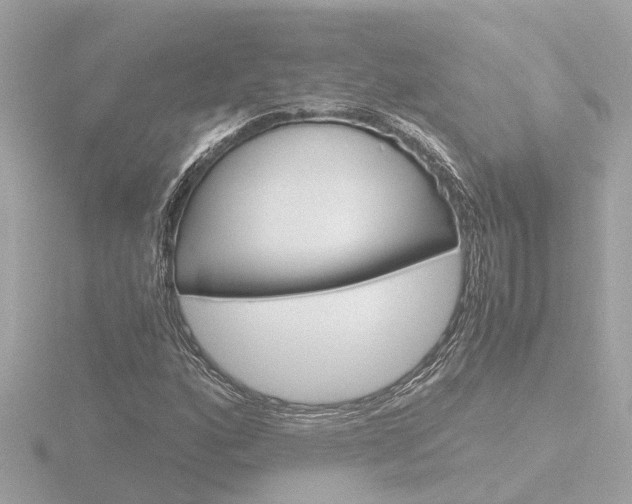 X0000116761160200912171104