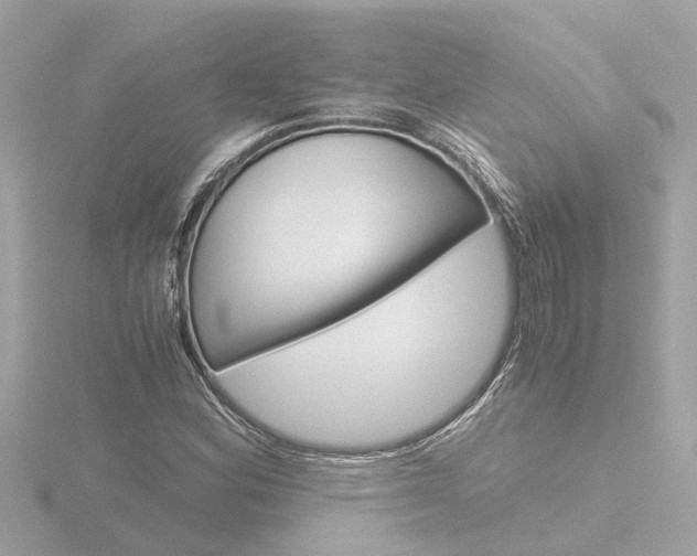 X0000116761164200912171104
