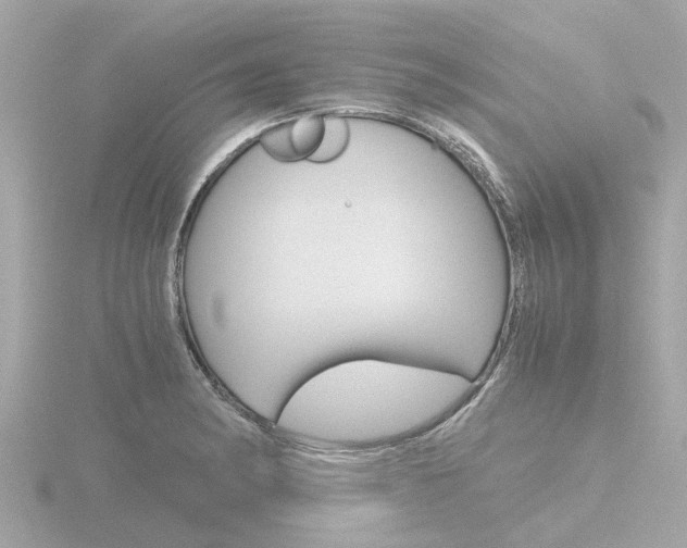 X0000116761182200912171103