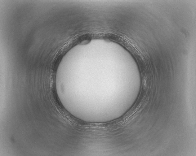 X0000116761204200912171103